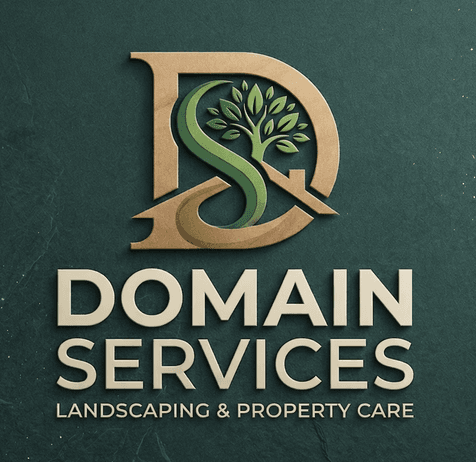 Domain Services logo